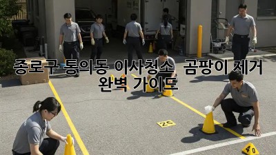 종로구 통의동 이사청소 & 곰팡이 제거 완벽 가이드! ✨